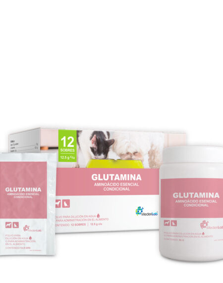 GLUTAMINA TARRO , Frasco con 90 g